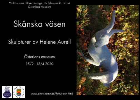 Skånska Väsen på Österlens Museum