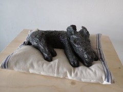 Siesta