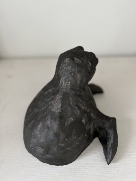 Grey seal