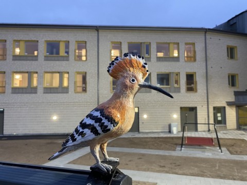 Främmande fåglar